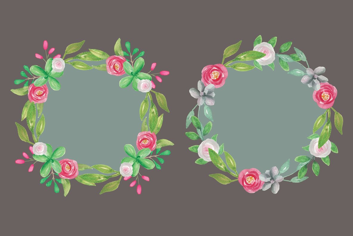 Cactus Flower Watercolor Package 6