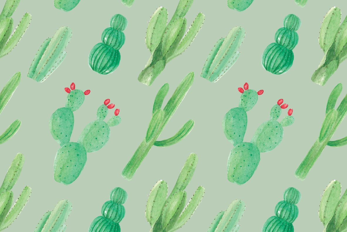 Cactus Flower Watercolor Package 7