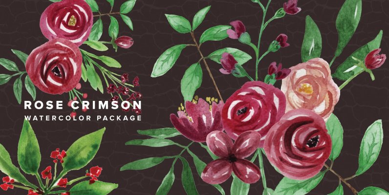 Rose Crimson Watercolor Package