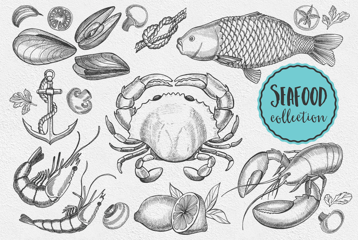 Seafood Illustrations 1