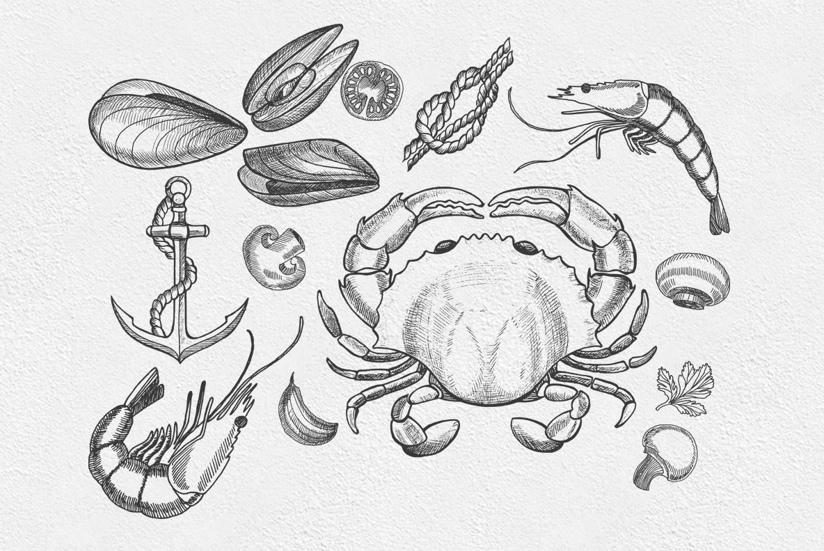 Seafood Illustrations 4
