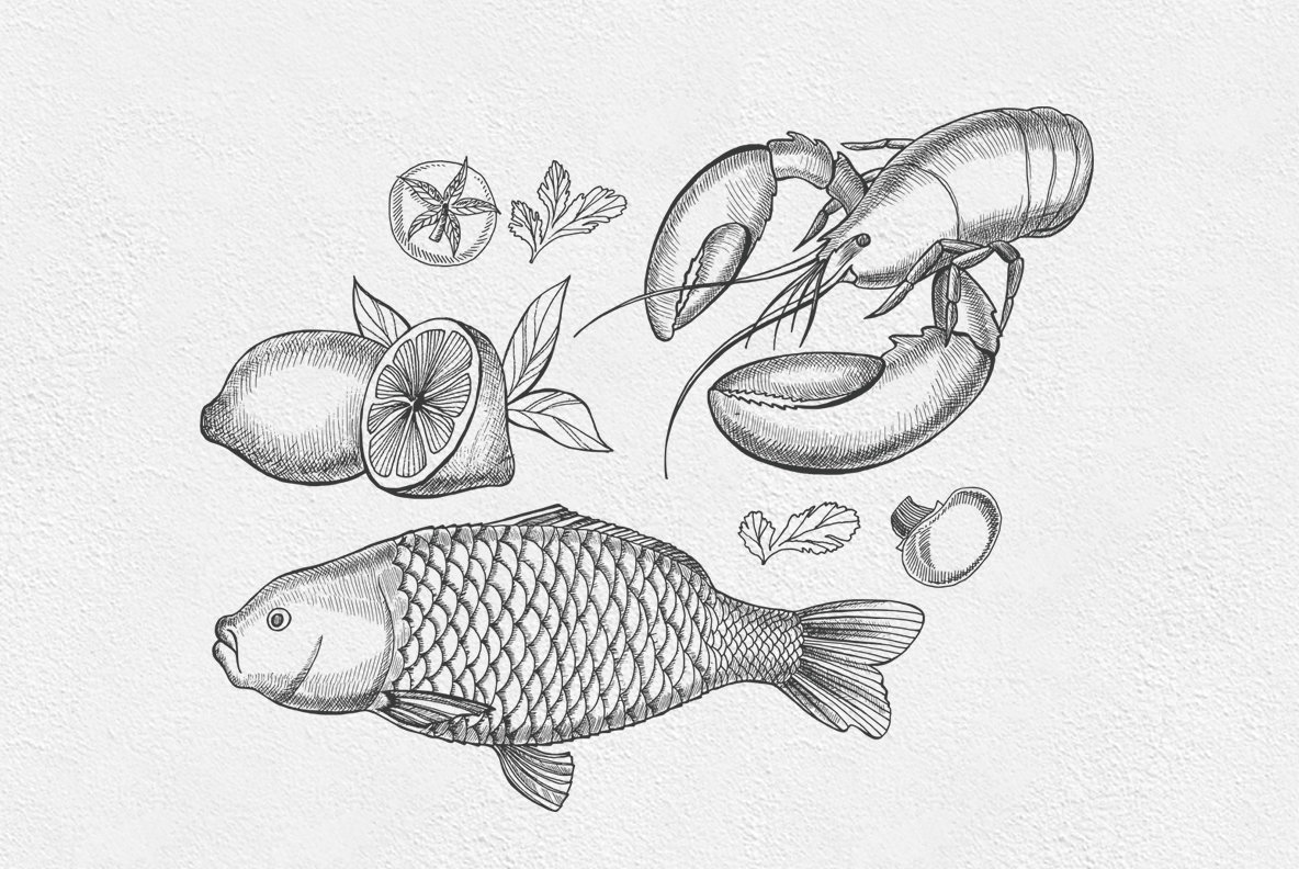 Seafood Illustrations 5