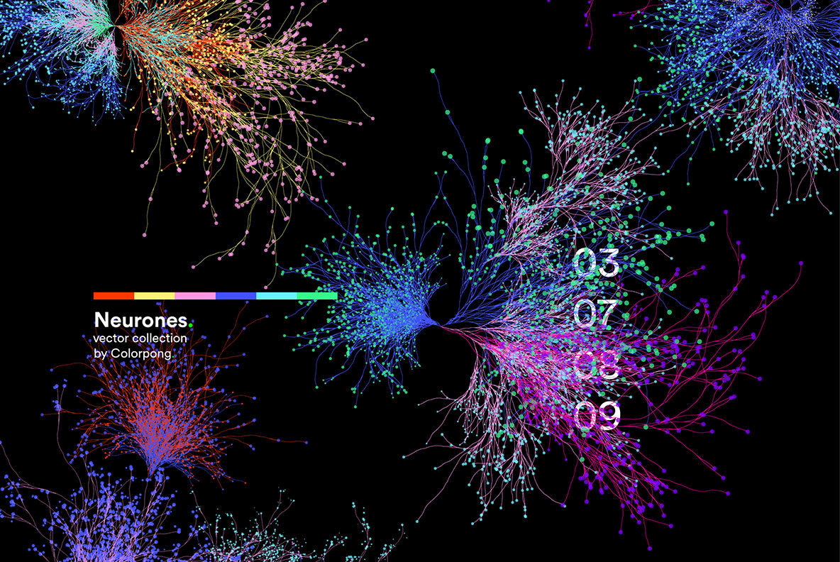 Neurones Neurones