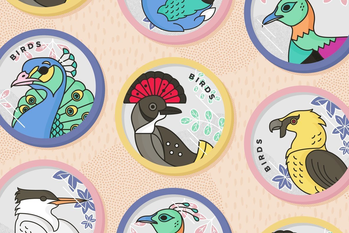 Birds Birds