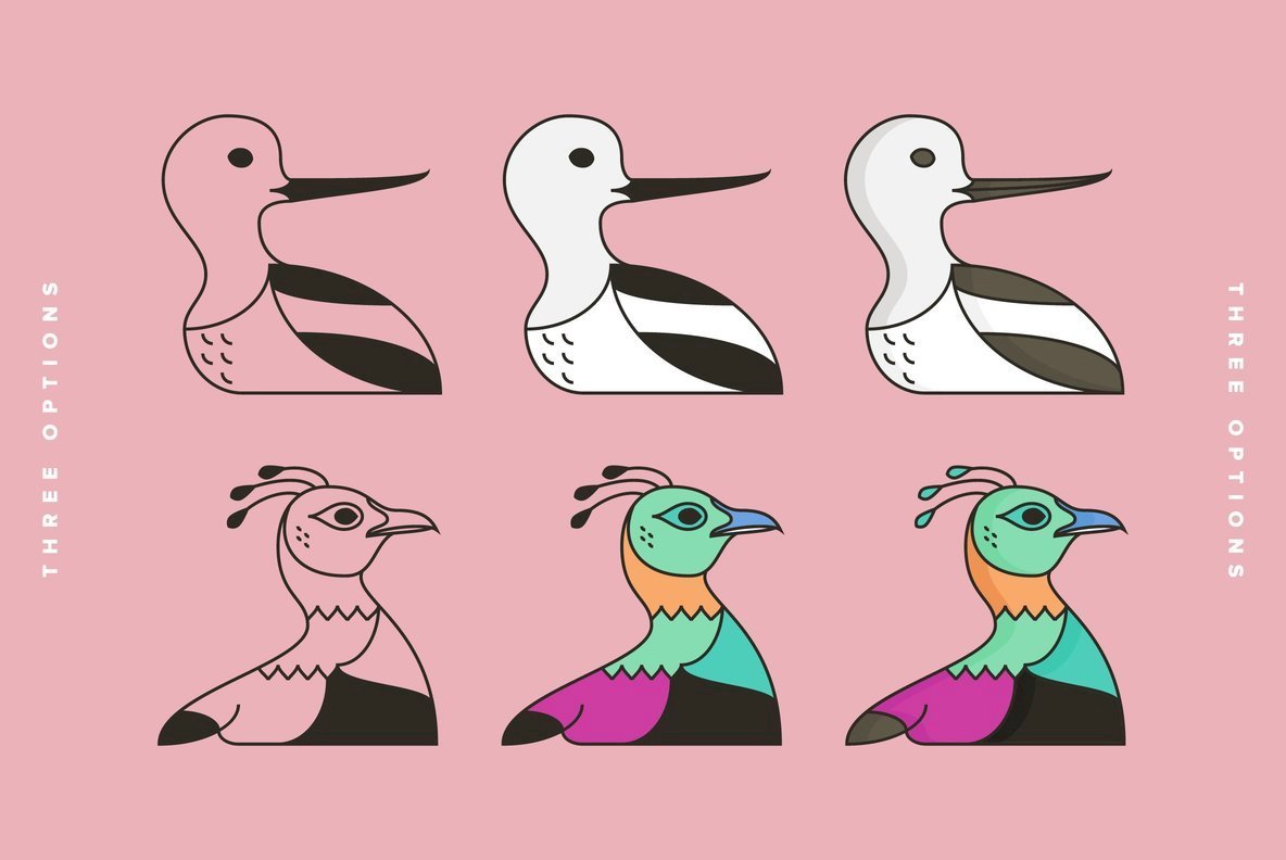 Birds Birds