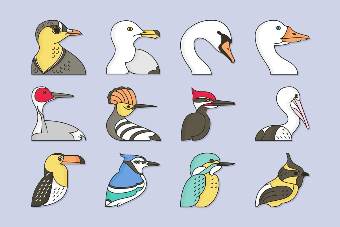 Birds Birds