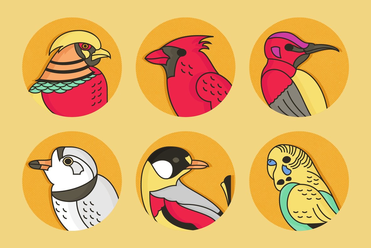 Birds Birds