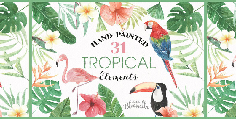 Tropical Elements Watercolor Package