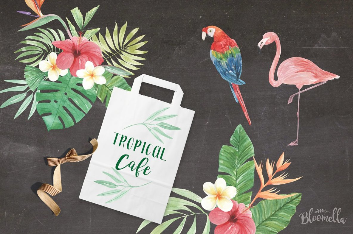 Tropical Elements Watercolor Package Tropical Elements Watercolor Package