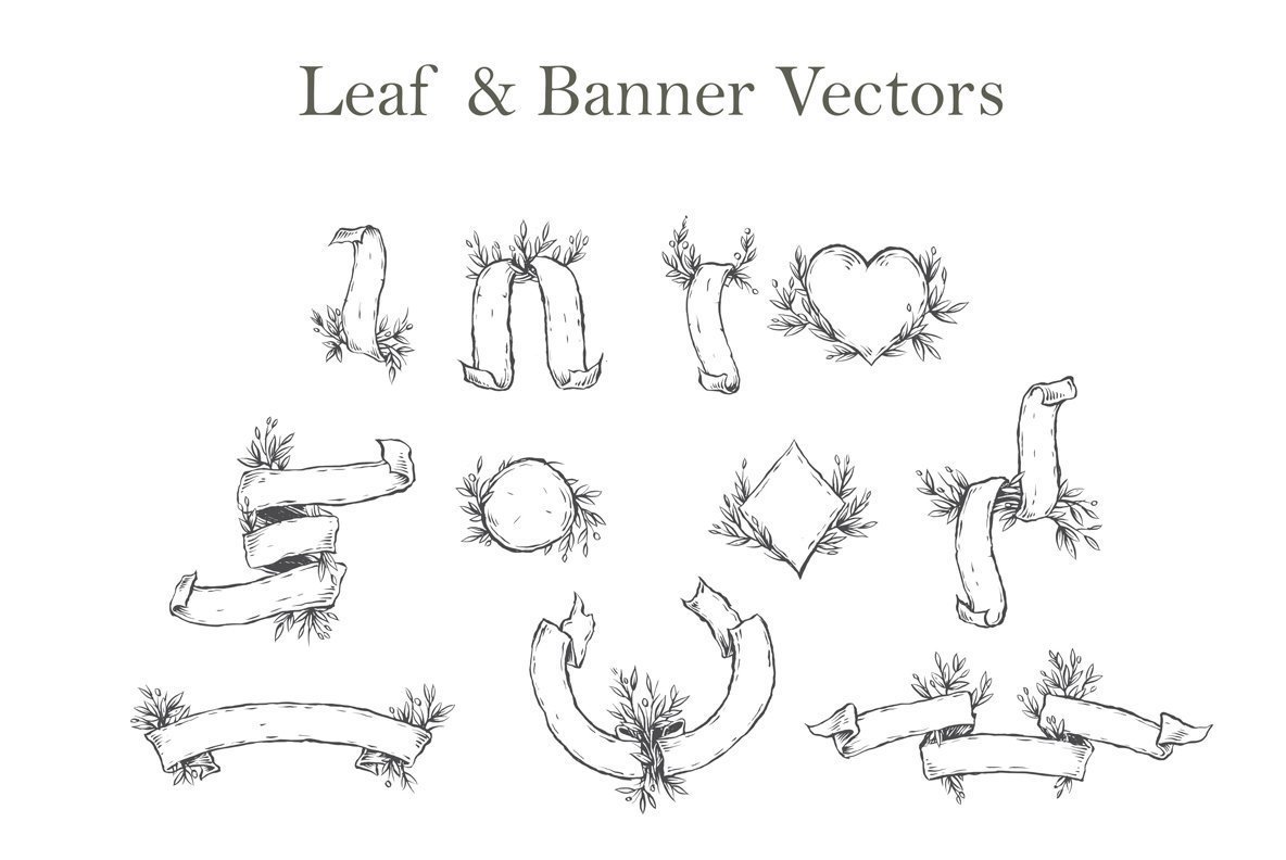 Leaf   Banner Vectors 1