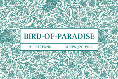 Bird of Paradise Patterns