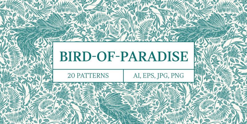 Bird of Paradise Patterns
