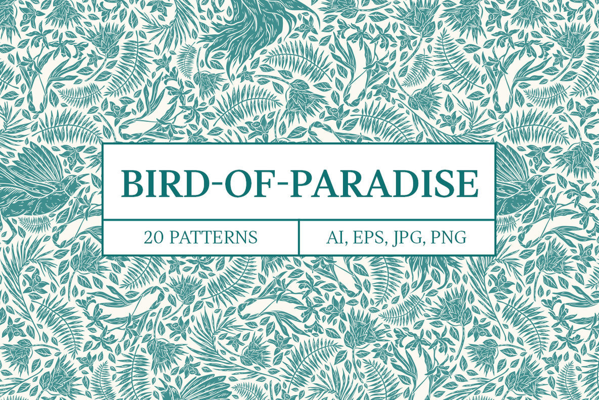 Bird of Paradise Patterns 1
