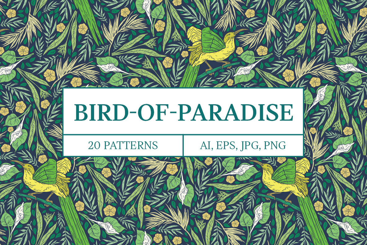 Bird of Paradise Patterns 5
