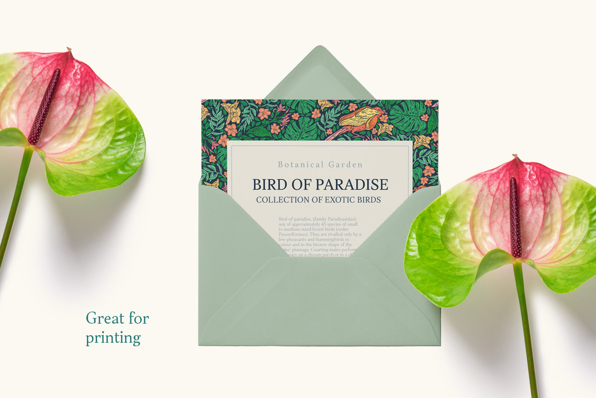 Bird of Paradise Patterns 6