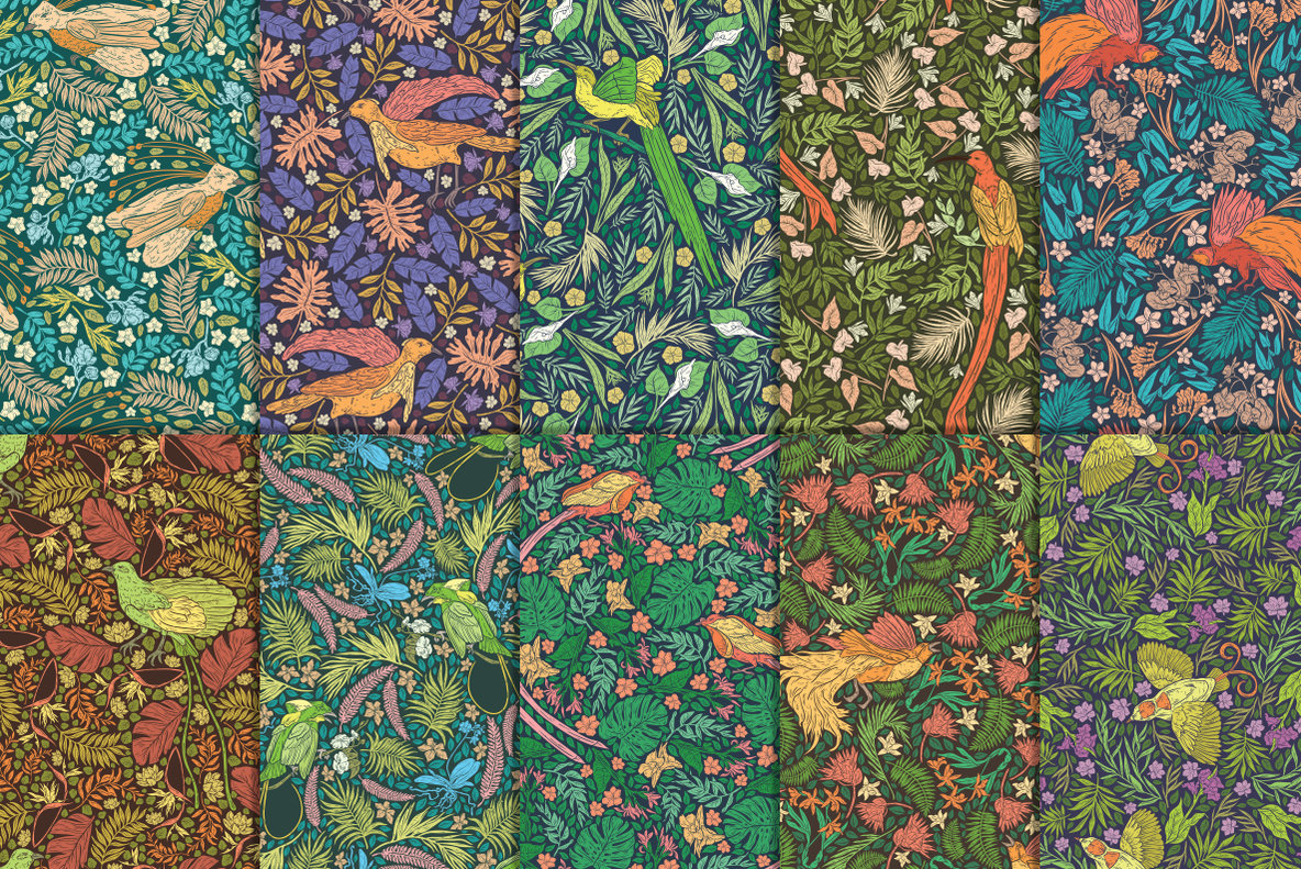 Bird of Paradise Patterns 9