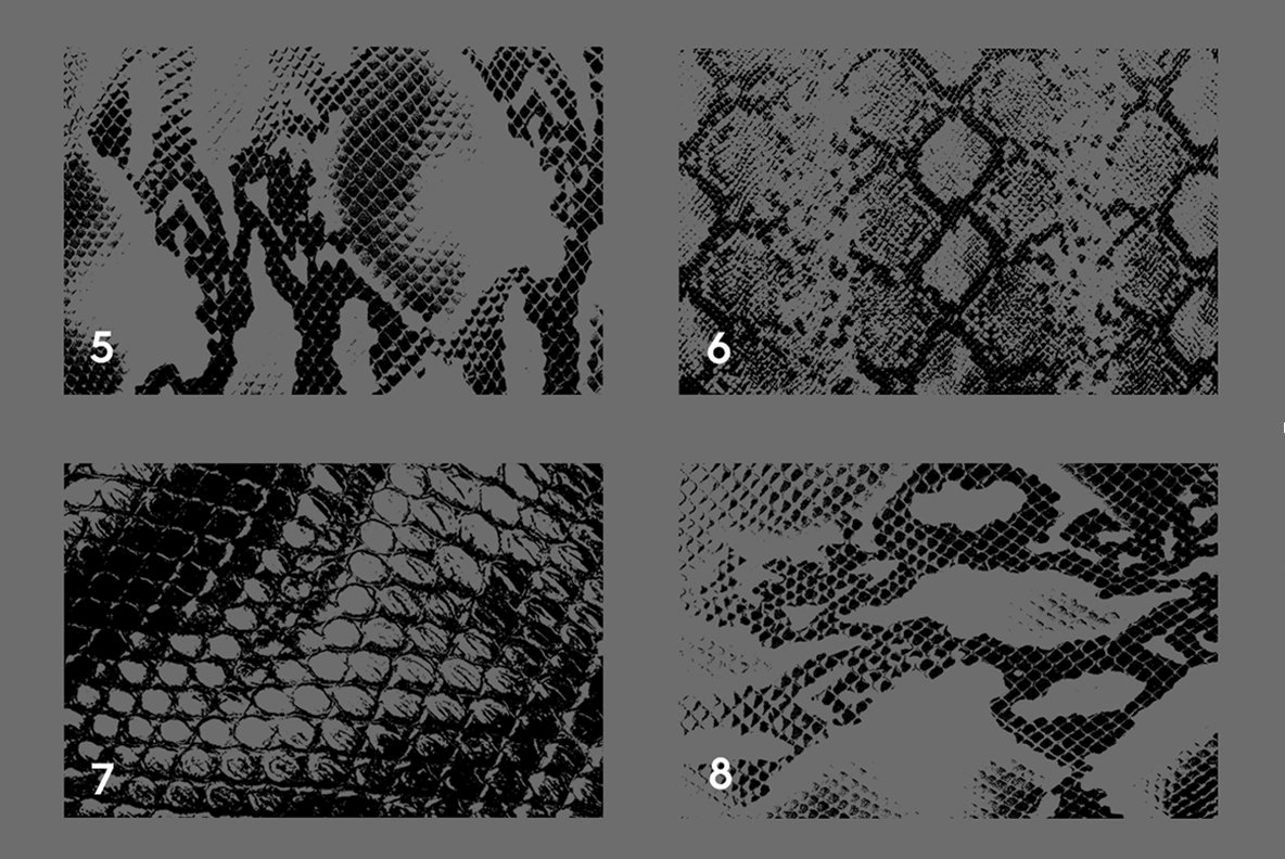 20 Snake Leather Texture Overlays