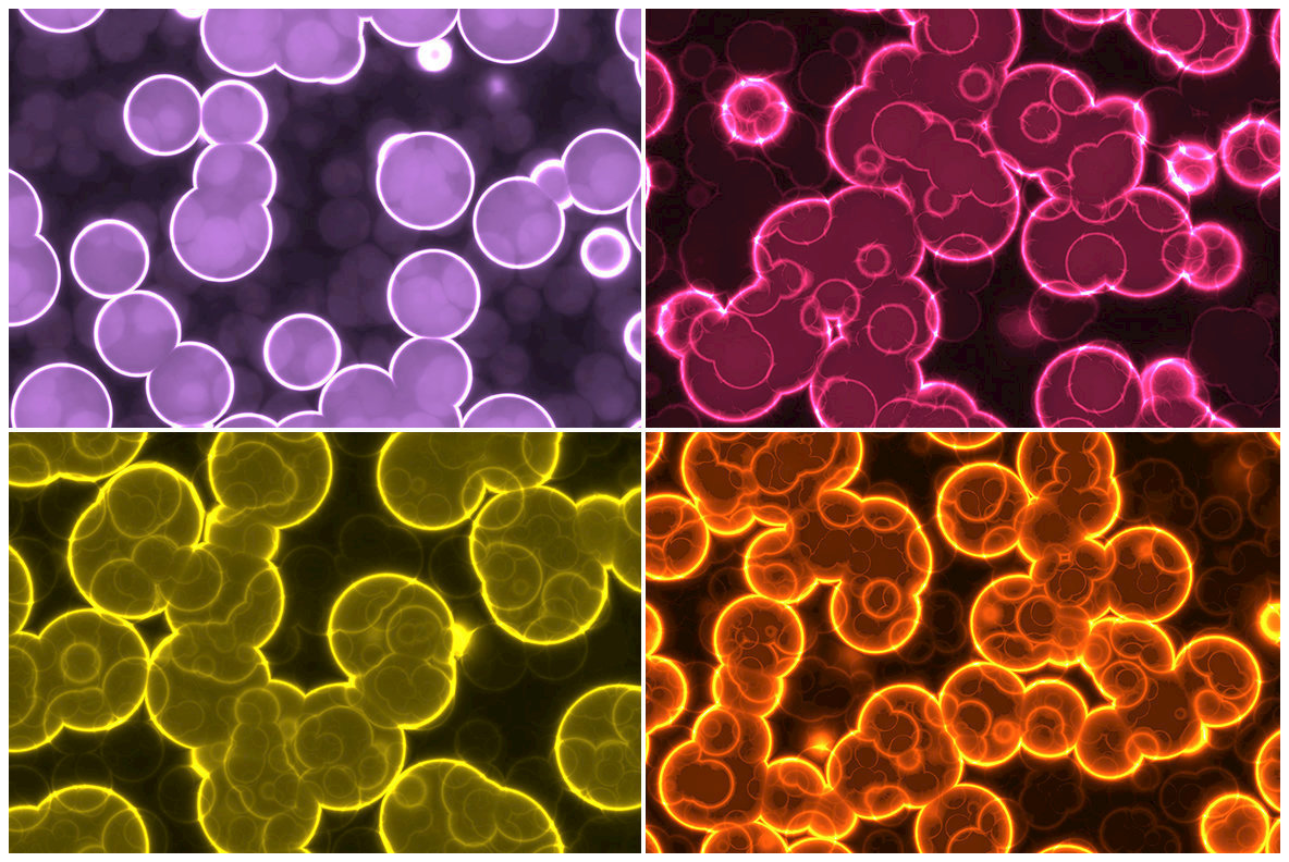 20 Luminescent Glowing Cells Background Textures 20 Luminescent Glowing Cells Background Textures