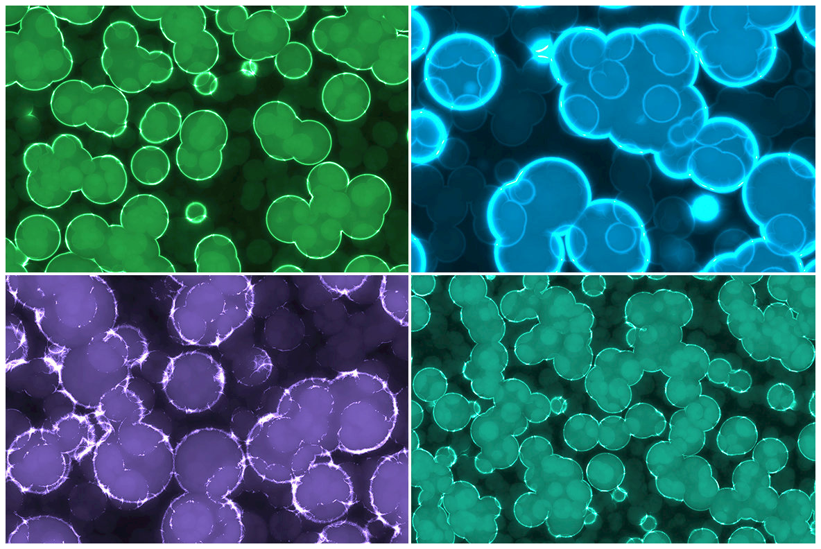 20 Luminescent Glowing Cells Background Textures 20 Luminescent Glowing Cells Background Textures
