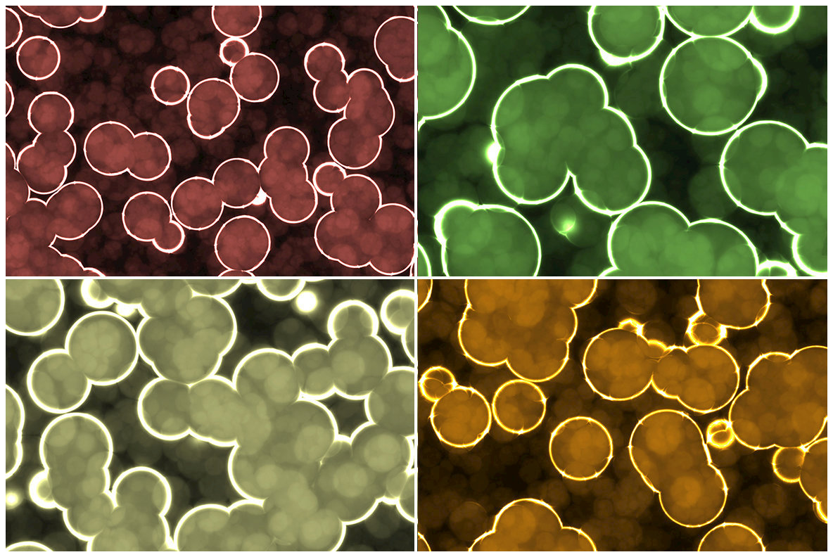 20 Luminescent Glowing Cells Background Textures 20 Luminescent Glowing Cells Background Textures