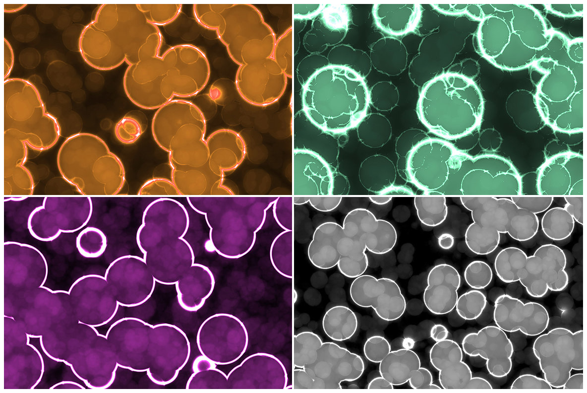 20 Luminescent Glowing Cells Background Textures 20 Luminescent Glowing Cells Background Textures