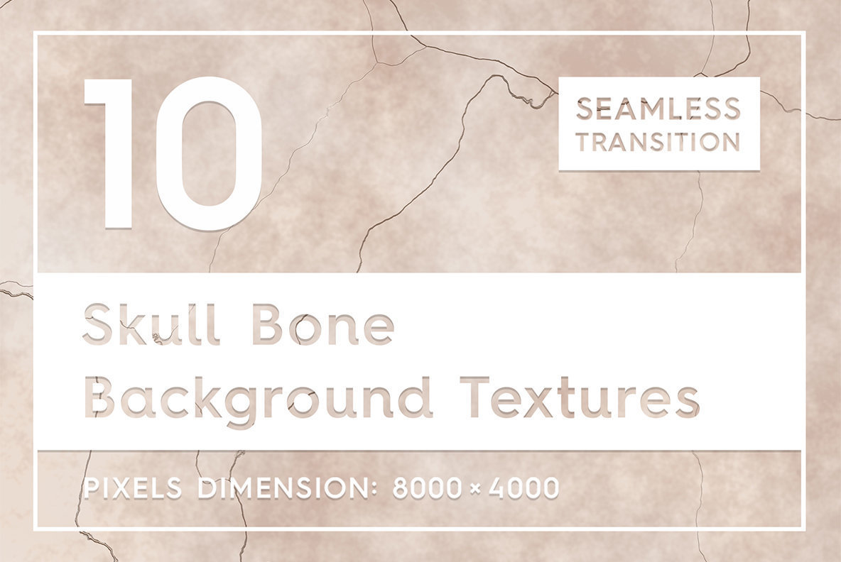 10 Skull Bone Background Textures 10 Skull Bone Background Textures