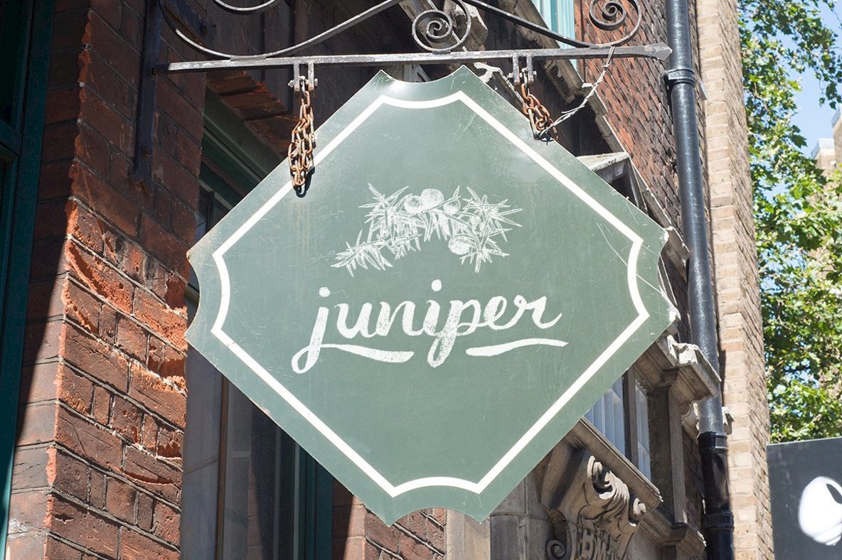 18 Herbs   Spices Text Overlays 3