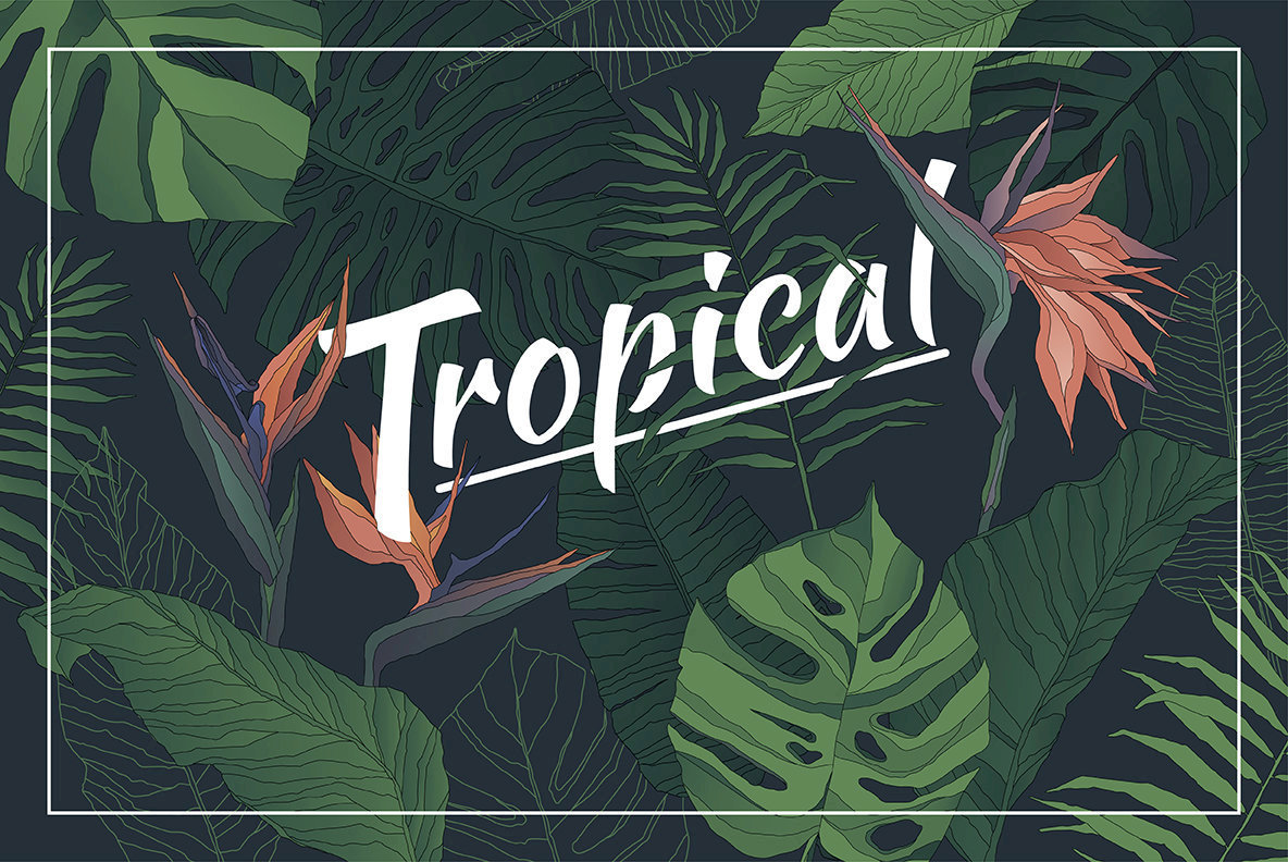 Tropical Set 1