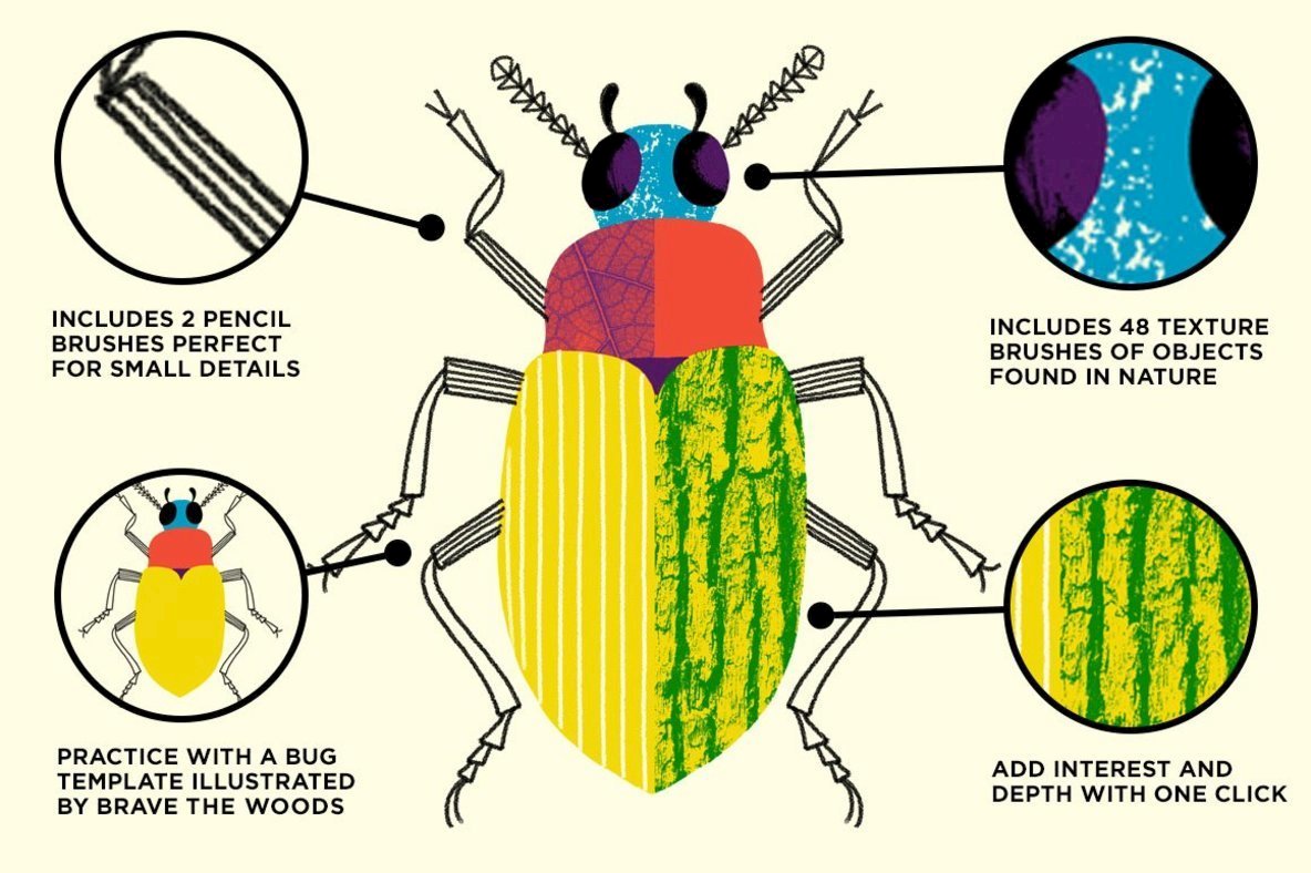 Bug Lab Nature Texture Brushes for Affinity Bug Lab Nature Texture Brushes for Affinity