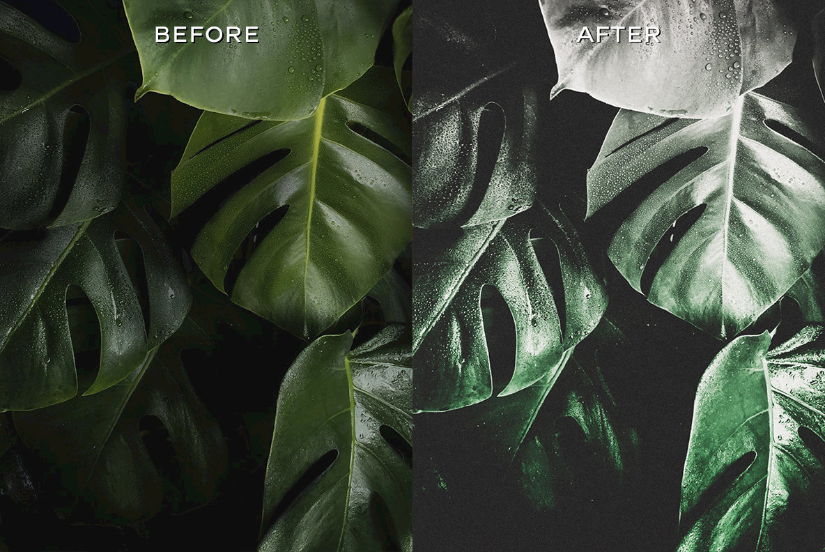 Artistic Lightroom Presets Artistic Lightroom Presets