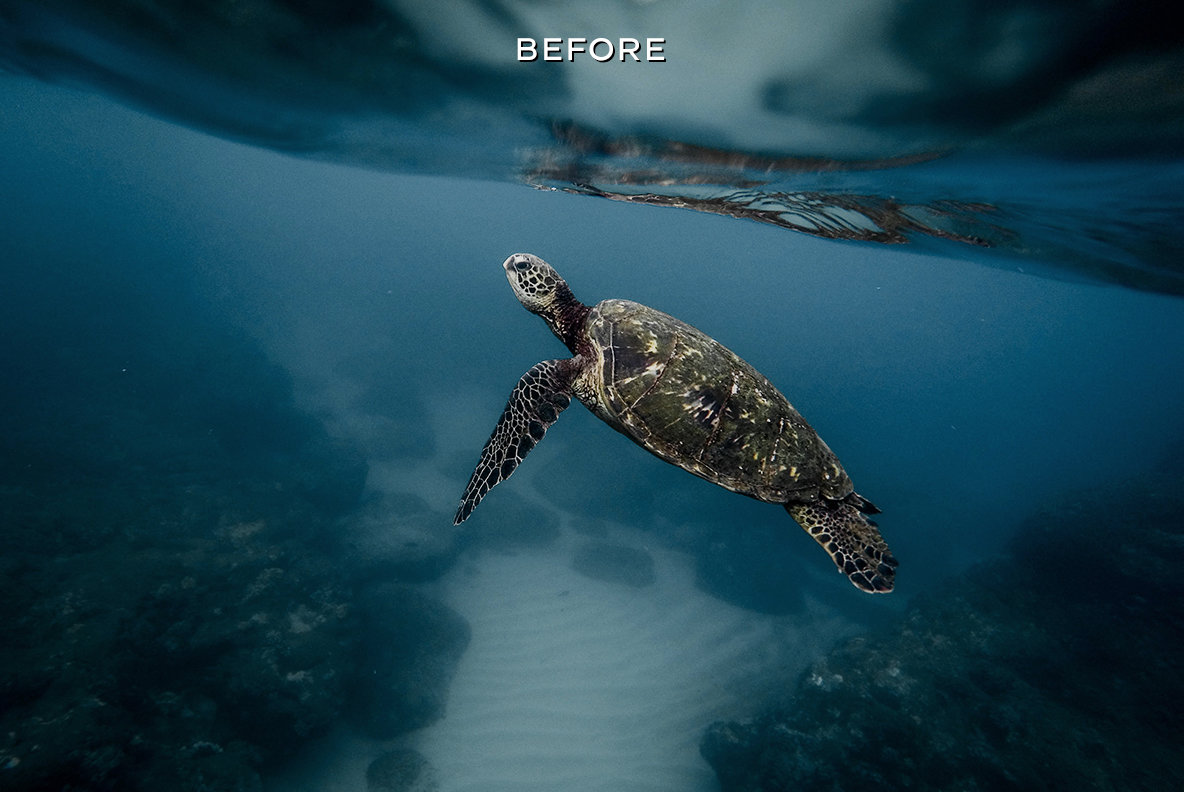 Artistic Lightroom Presets Artistic Lightroom Presets