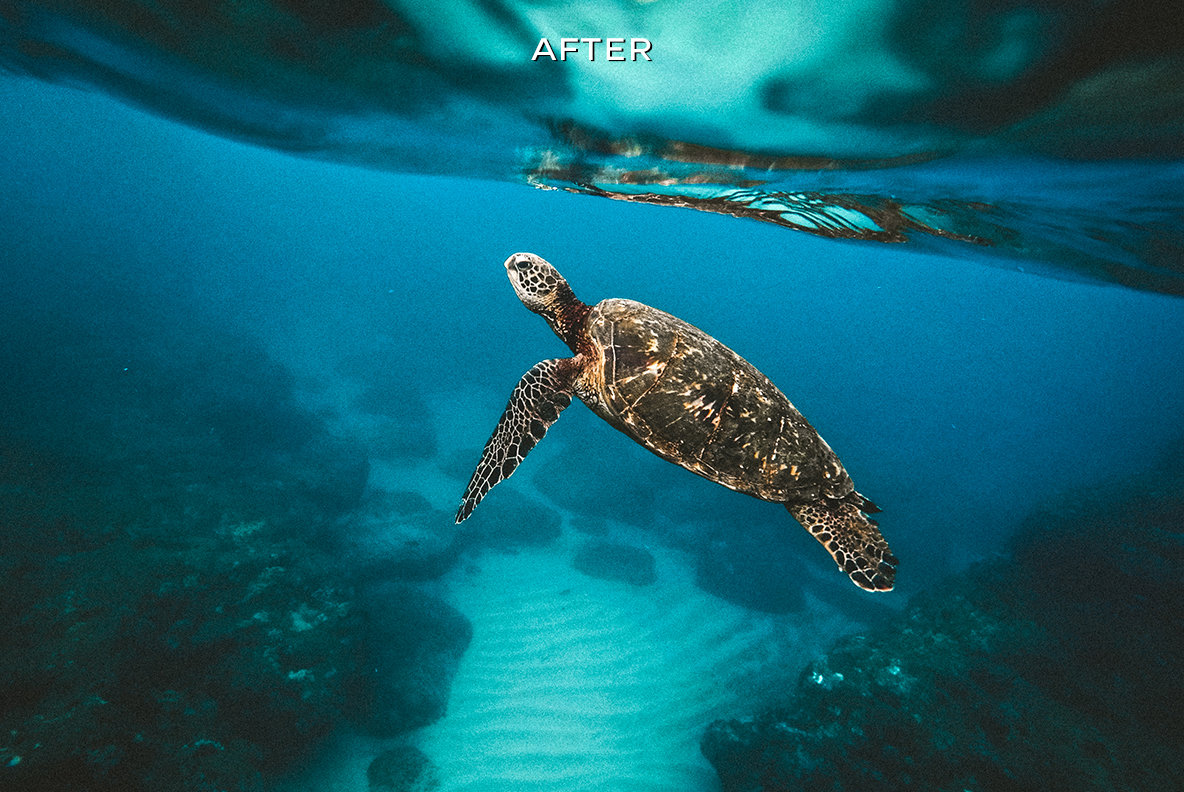 Artistic Lightroom Presets Artistic Lightroom Presets