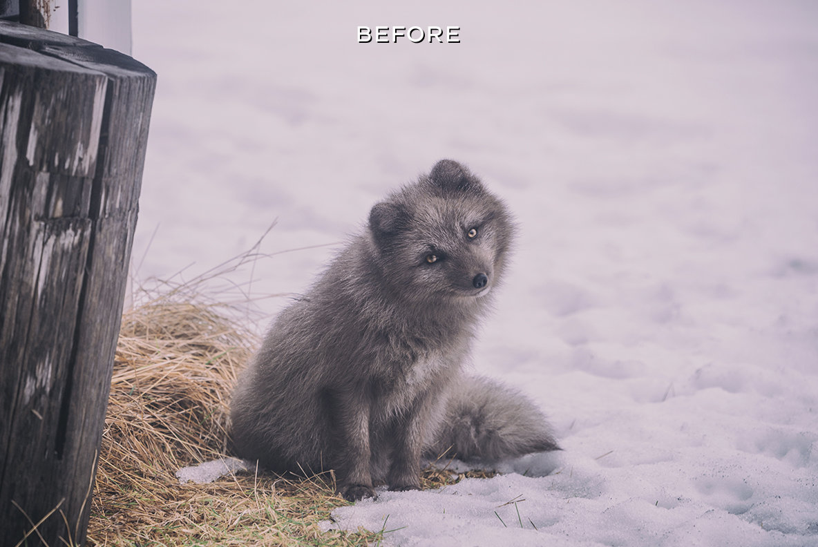 Artistic Lightroom Presets Artistic Lightroom Presets