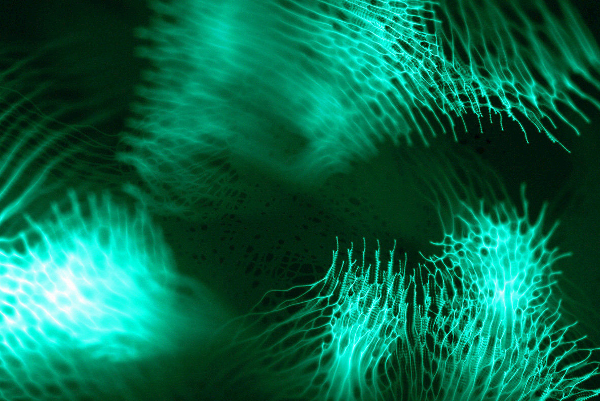 Motion Lights 3
