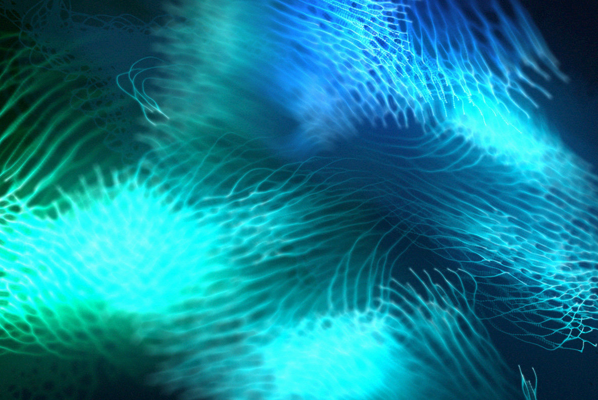 Motion Lights 4