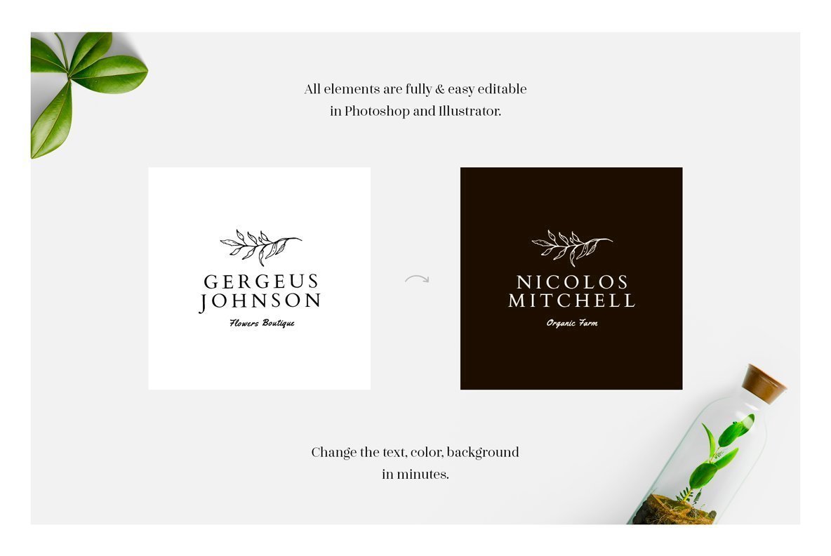 Camelia 50 Premium Logo Templates Camelia 50 Premium Logo Templates