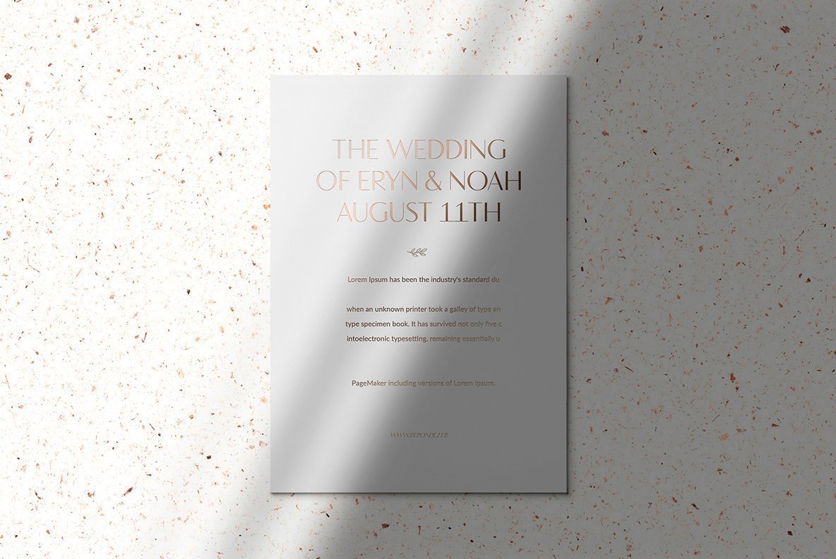 Plumere Animated Stationery Mockups Plumere Animated Stationery Mockups