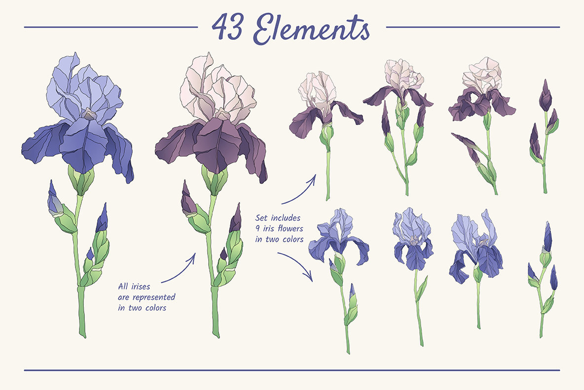 The Iris Bouquet Set of Floral Elements The Iris Bouquet Set of Floral Elements