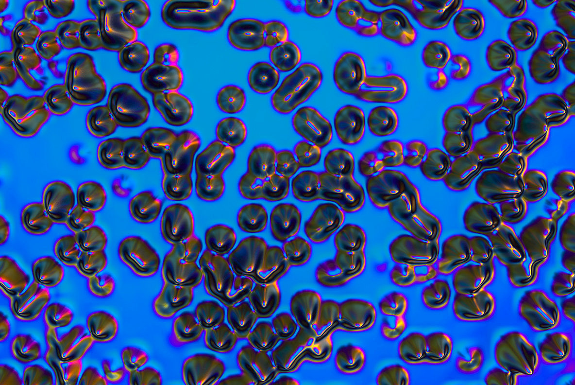 Holographic   Decay 3