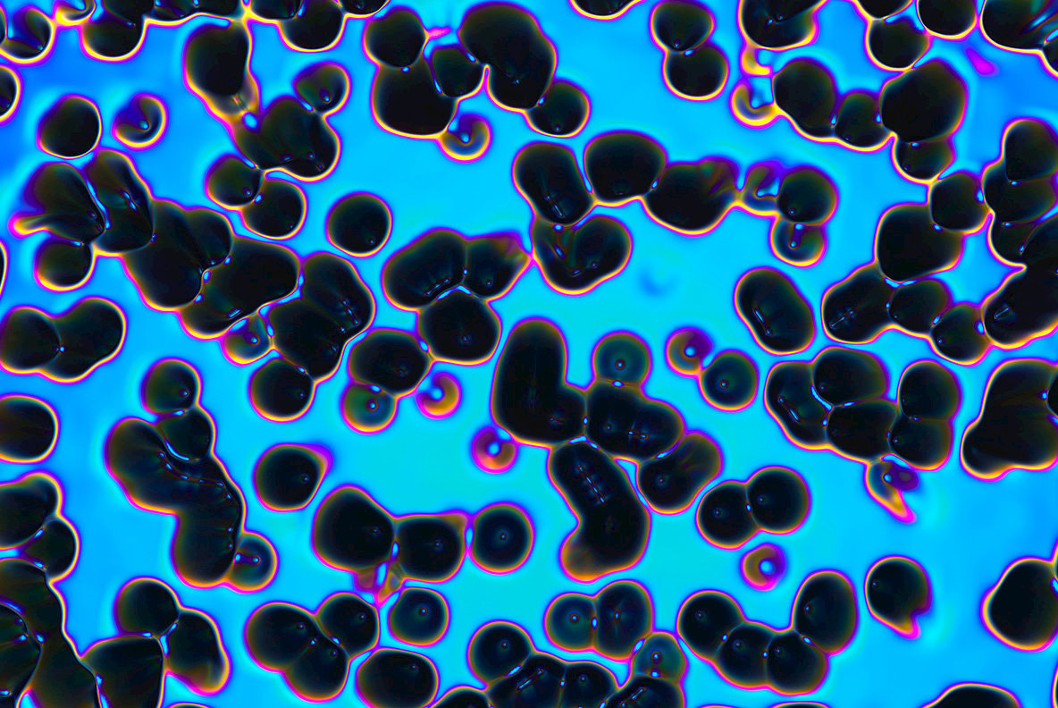 Holographic   Decay 5