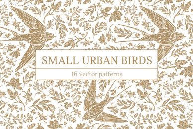 Small Urban Birds Patterns