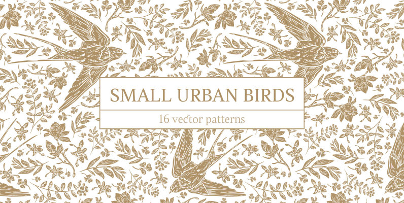 Small Urban Birds Patterns