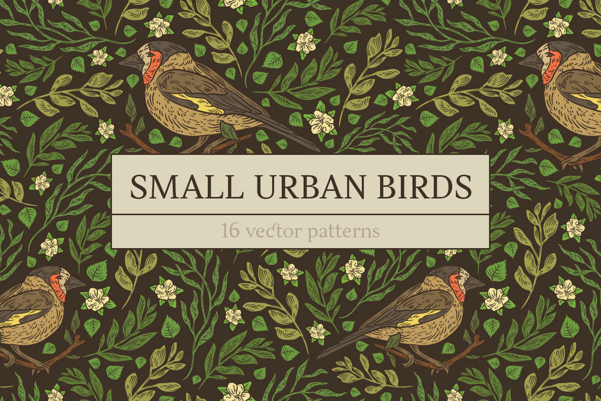 Small Urban Birds Patterns Small Urban Birds Patterns