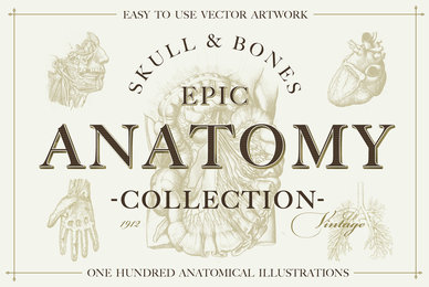 100 Vintage Anatomy Vector Illustrations