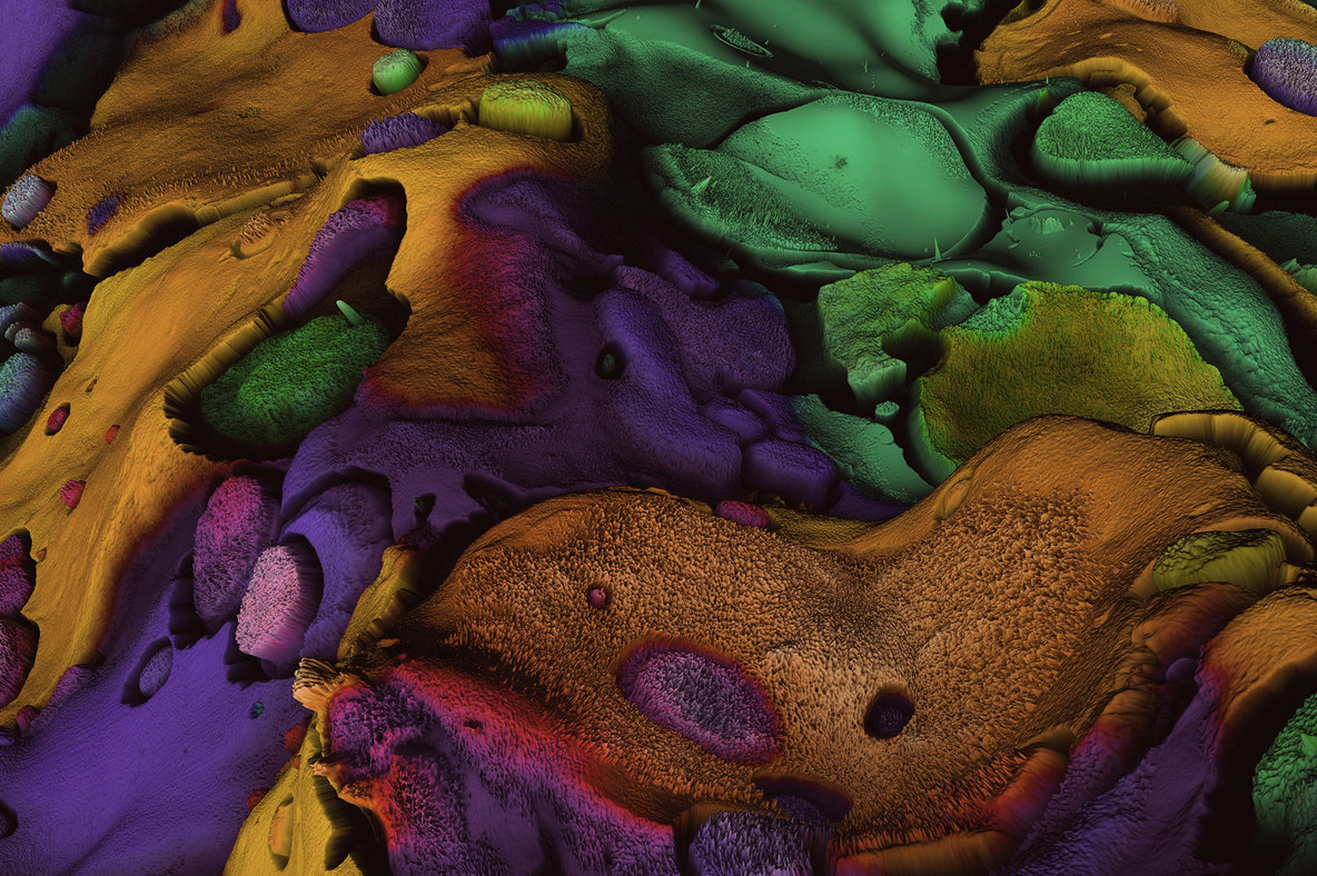 Terrain Vol 2   Abstract 3D Landscapes 9