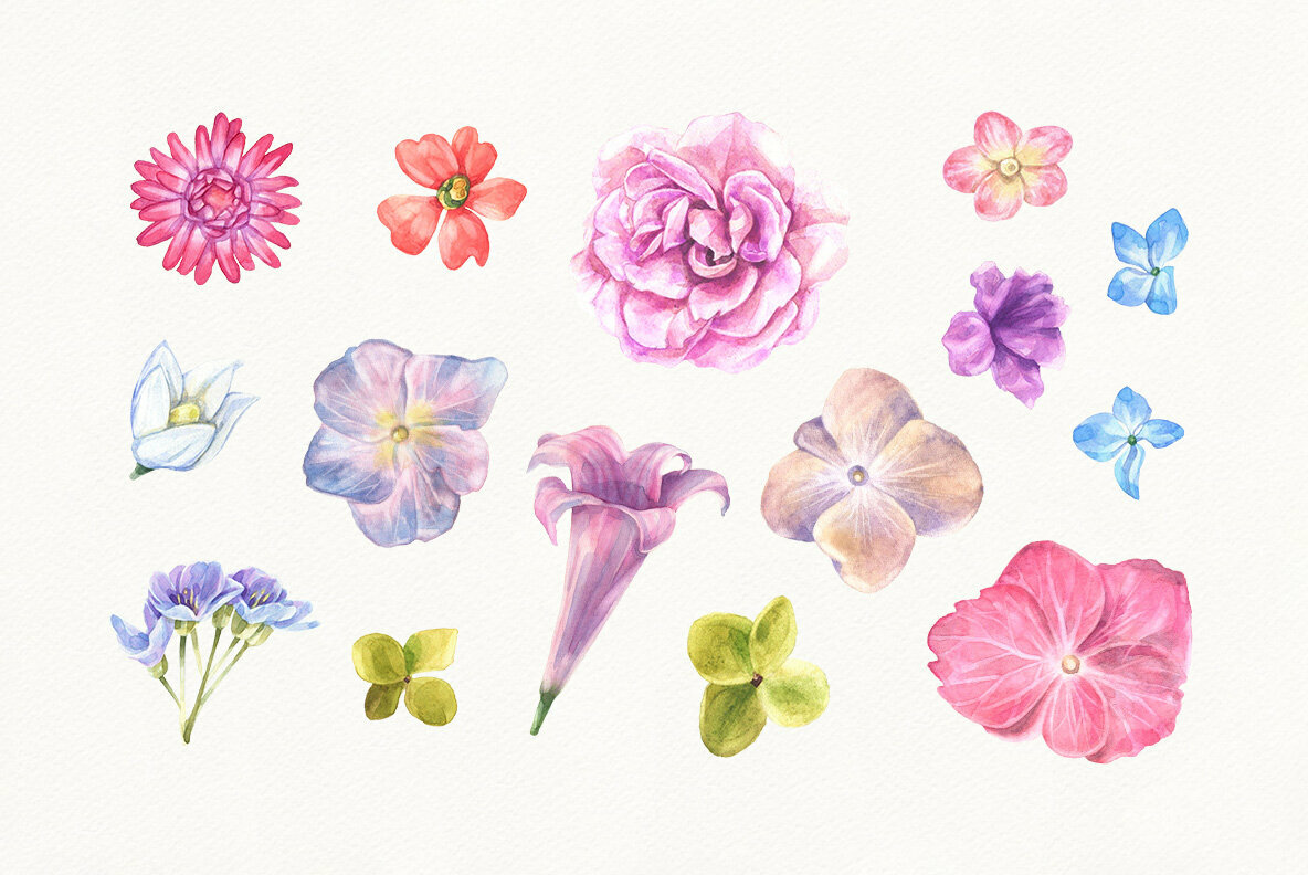 Summer Bloom Watercolor Set 4