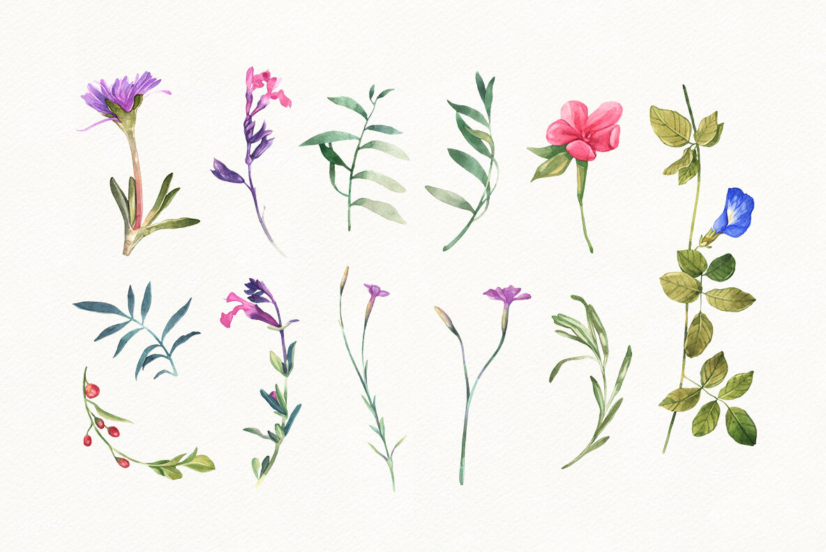 Summer Bloom Watercolor Set 6