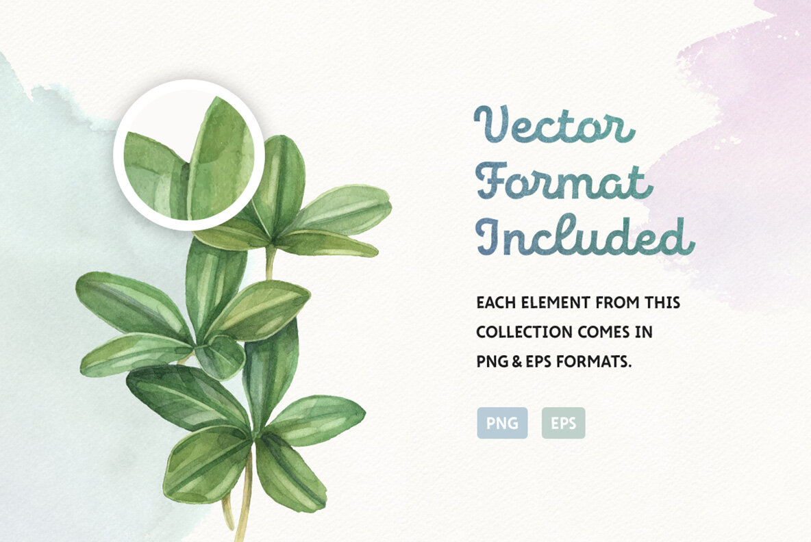 Summer Bloom Watercolor Set 9