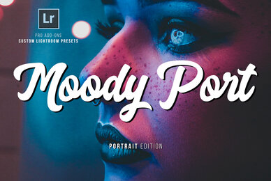 Moody Portrait Lightroom Presets
