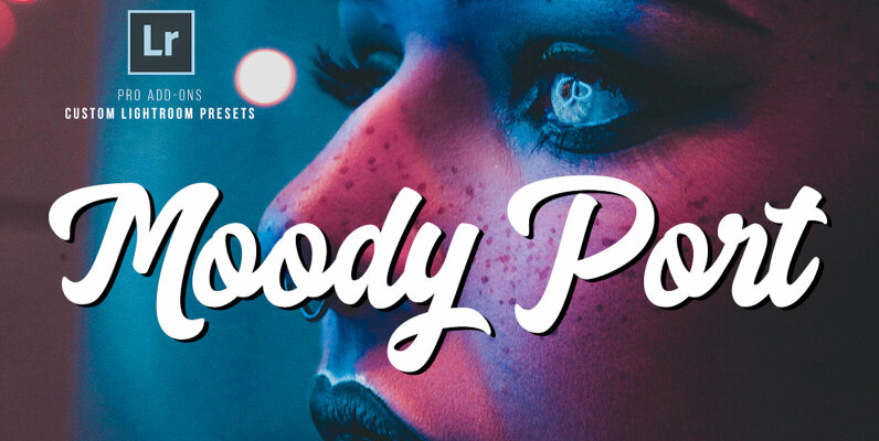 Moody Portrait Lightroom Presets